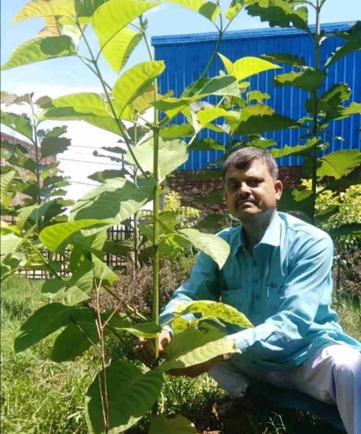 पर्यावरण भारती द्वारा वैश्विक ऊर्जा स्वतंत्रता दिवस पर वृक्षारोपण